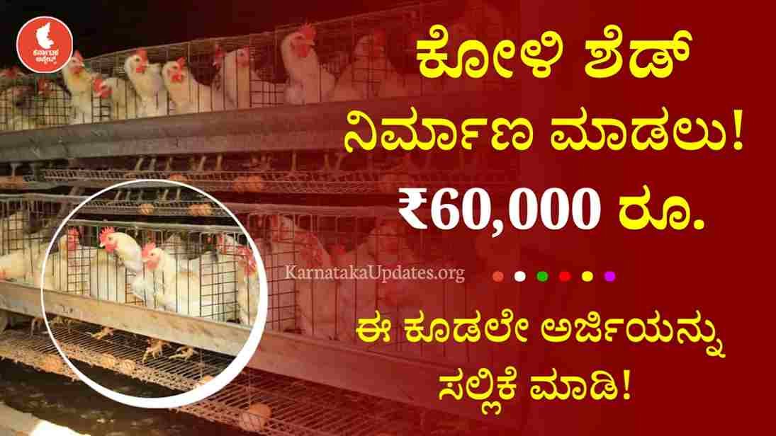 Poultry Shed Subsidy Scheme